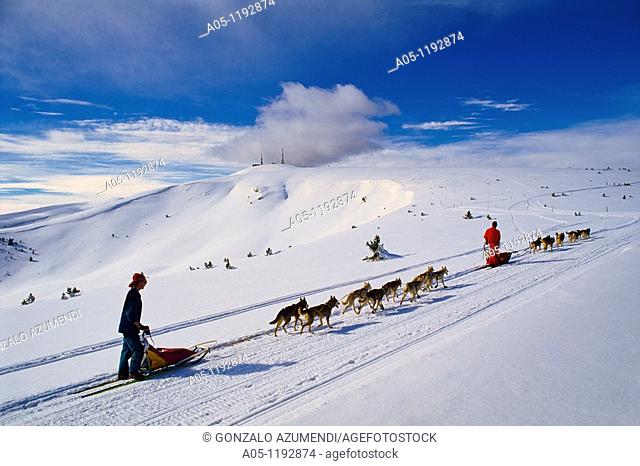 Ski resort of Port Aine. Pirena. Sled dog race in the Pyrenees going through Spain , Andorra and France. Catalan Pyrenees. Rialp. Pallars Sobira