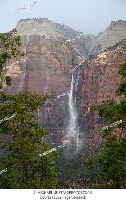An ephemeral waterfall appears at Zion National Park during a summer rainstorm
