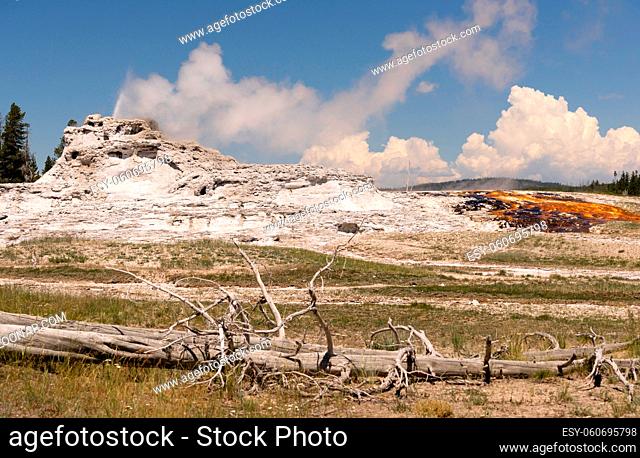 Thermal Geysers erupt daily all over Yellowstone National Park constantly changing the landscape