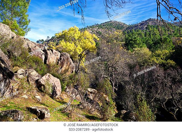 Laguna hill in Iruelas Valley. Sierra de Gredos. Avila. Castilla Leon. Spain