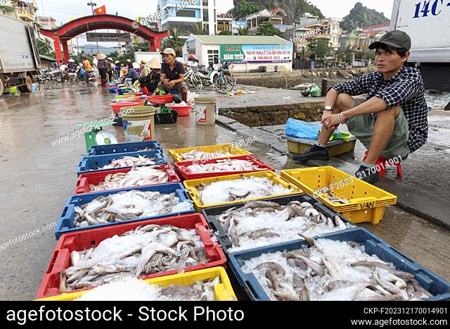 Ha Long bay in Vietnam. Fishermen on market offer seafood, fruits, vegetables, atc. (CTK Photo/Ondrej Zaruba)