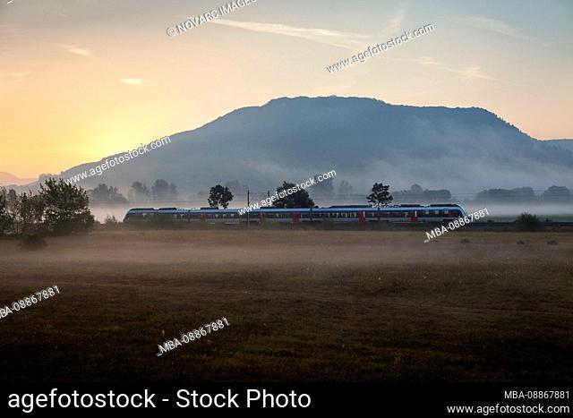 Train in the morning mist, Gleisberg, Jena