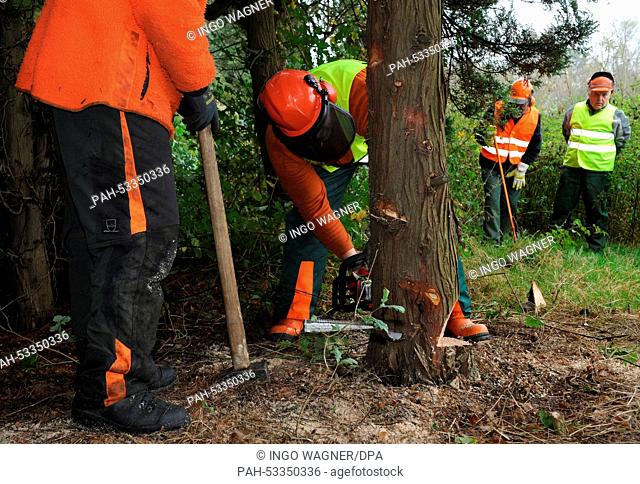 Instructor Soenke Hofmann (L) instructs participants on how to handle a chainsaw during a chainsaw training session in Bremen, Germany, 25 October 2014
