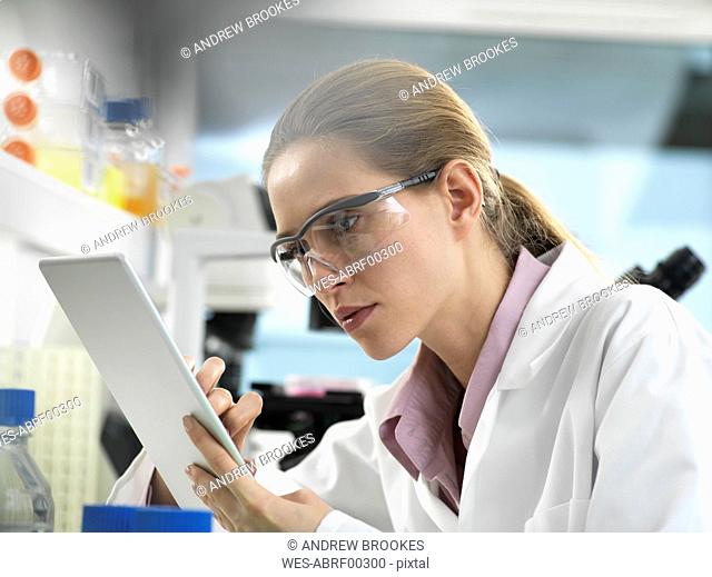 Scientist adding data to a tablet during an experiment in the laboratory