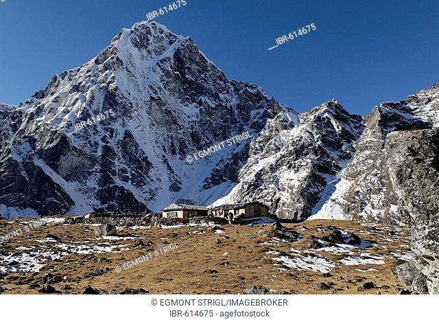 Trekking Lodge at Dzonglha with Arakamtse (6423), Chola Khola valley, Mount Everest Region, Sagarmatha National Park, Khumbu, Nepal