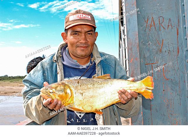 Dorado (Salminus maxillosus), Rio Grande, S17 40.023 W62 46.766, near Santa Cruz, Bolivia 5-25-05 Nigel Smith