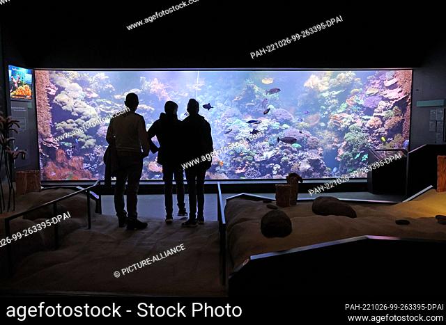 PRODUCTION - 24 October 2022, Mecklenburg-Western Pomerania, Rostock: In the Darwineum, visitors stand in front of a coral reef in a large aquarium