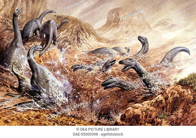 Palaeozoology - Triassic period - Dinosaurs - Plateosaurus - Art work by John Francis