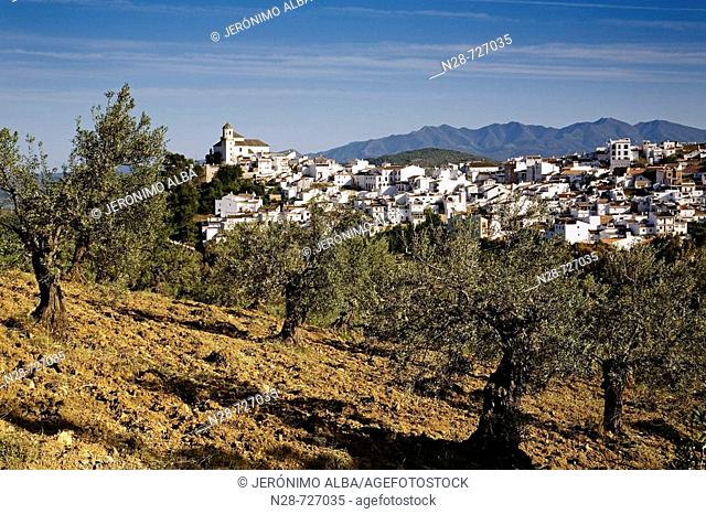 Alozaina. Serrania de Ronda, Malaga province, Andalucia, Spain