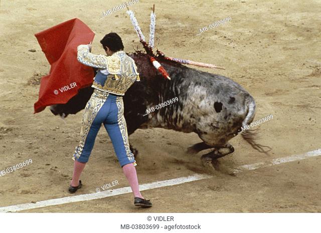 Spain, Andalusia, Ronda, Plaza de, Toros, bullfight, Europe, Iberian peninsula, destination, sight, show fight, bullring, sand place, man, bullfighters, Torero