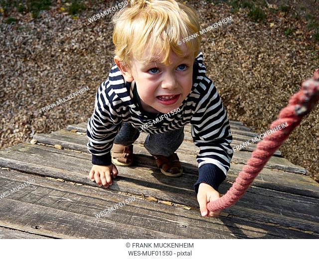 Portrait of little boy on climbing frame