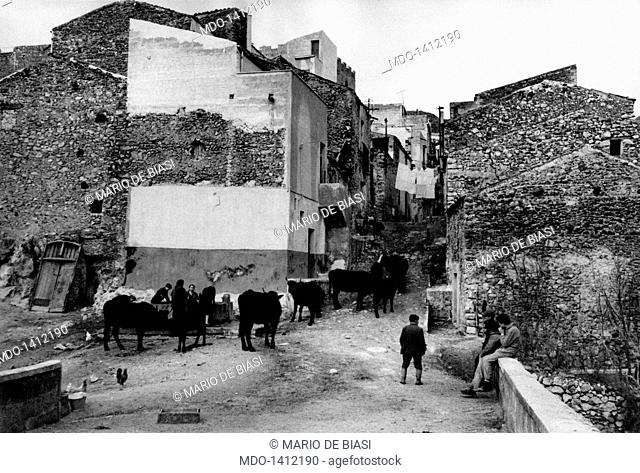 View of Vicolo della Torre and Vicolo Boccaccio in the village of Montelepre, where in December 24th, 1943, the Italian bandit Salvatore Giuliano attacked a...