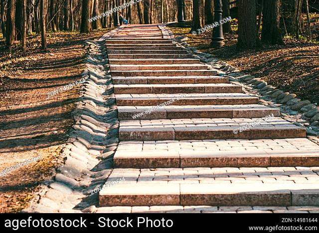 stone stairs in a forest park. A beautiful day in early spring. the concept of climbing and achieving your goals