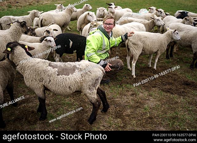 28 March 2022, Schleswig-Holstein, Stuckrum: Nine Jochimsen, shepherdess, kneels among her sheep in a pasture. Photo: Axel Heimken/dpa