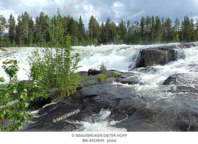 Rapids Storforsen in the River Piteälven, Vidsel, Lapland, Sweden, Europe