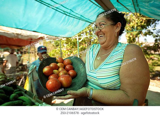 Vendor at the fruit and vegetable market, Santa Clara, Villa Clara Province, Cuba, West Indies, Central America