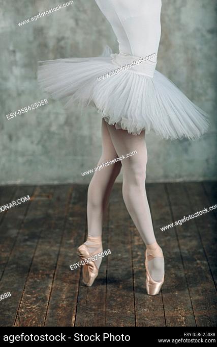 Ballet in beautiful style. Modern ballet. Ballet dancer