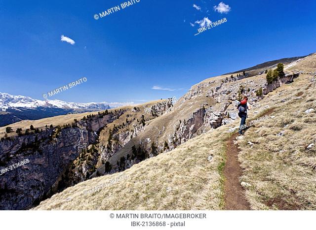 Climber at the end of the Stevia climbing route in Vallunga near Selva, overlooking Sciliar Mountain, Val Gardena, Alto Adige, Italy, Europe