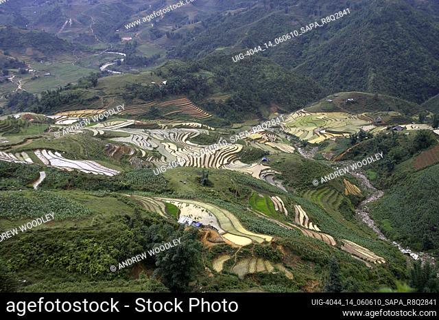 Steep rice terraces in the Muong Hoa Stream Valley near Sapa north Vietnam