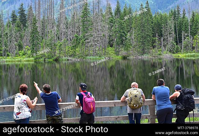 Tourists in front of the Smreczynski Pond, water, trees, forest, rflections