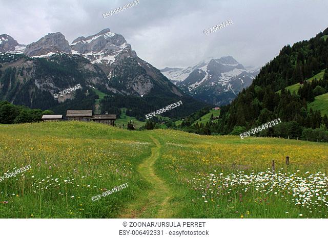 Beautiful landscape near Gstaad