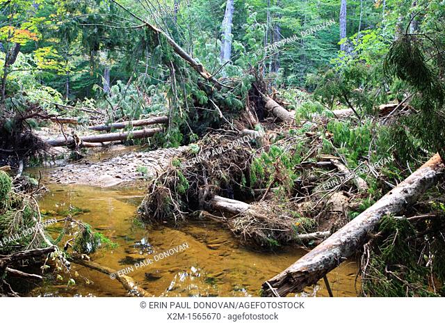 Flash floods from Tropical Storm Irene in 2011 rerouted sections of the Swift River in the White Mountains, New Hampshire USA  This image shows a new section of...