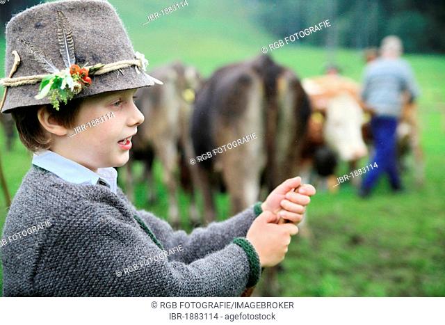 Boy wearing traditional costume during Viehscheid, separating the cattle after their return from the Alps, Thalkirchdorf, Oberstaufen, Bavaria, Germany, Europe