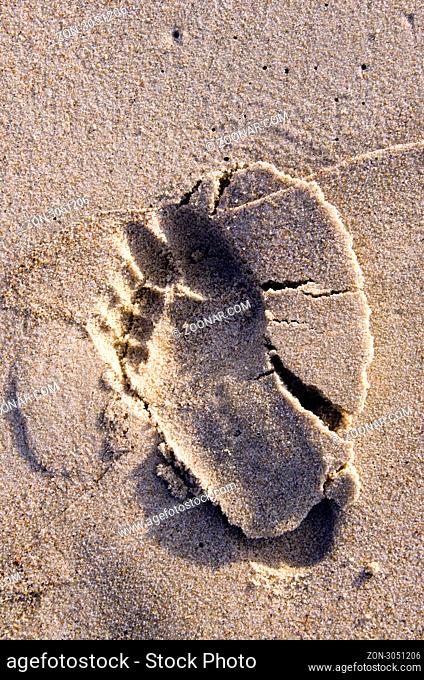 Bare feet imprint on wet beach sand. Natural seaside background