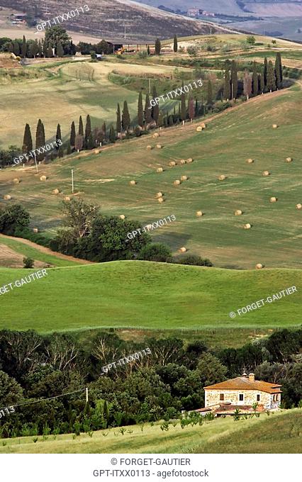 HILLS IN THE TUSCAN LANDSCAPE, MONTALCINO REGION, TUSCANY, ITALY