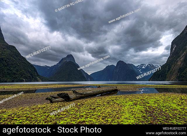 New Zealand, Southland, Storm clouds over driftwood lying on shore of Milford Sound