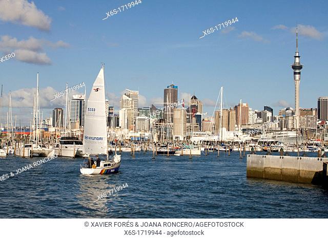 Westhaven Marina and view of the skyline of Auckland, Auckland, North Island, New Zealand