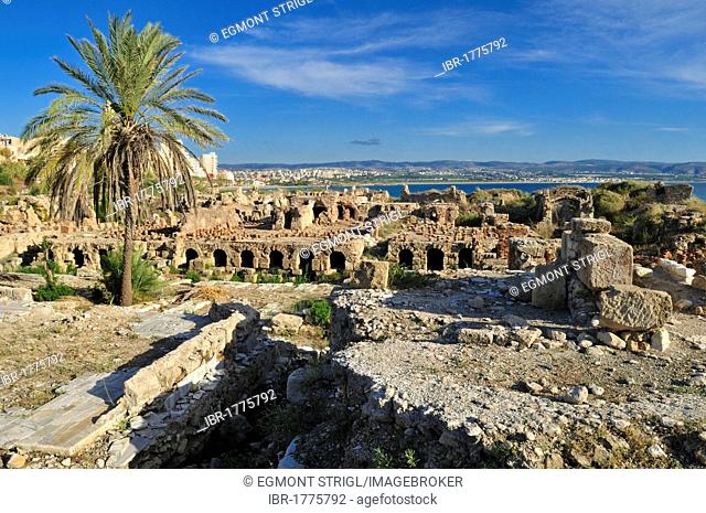 Archeological site of Tyros, Tyre, Sour, Unesco World Heritage Site, Lebanon, Middle East, West Asia