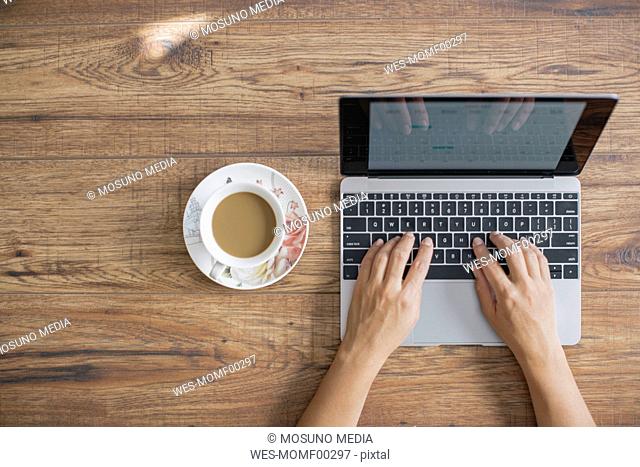 Hands of businesswoman at desk working on laptop
