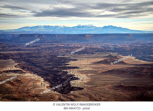 View from Grand View Point Overlook to erosion landscape, rock formations, Monument Basin, White Rim, back mountain range La Sal Mountains, La Sal Range