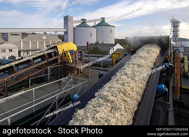 The Dobrovice sugar mill, Czech Republic, October 26, 2021. (CTK Photo/Josef Vostarek)