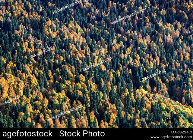 RUSSIA, SOCHI - OCTOBER 21, 2023: A view of a wooded hillside in the Caucasus Nature Reserve in the resort of Sochi in autumn. Dmitry Feoktistov/TASS