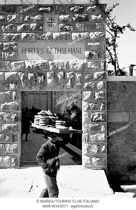 israele, gerusalemme, venditore di pane davanti all'ingresso dell'orto getsemani, 1960 // israel, jerusalem, bread seller before the entrance of the Getemani...