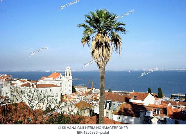 View over the Alfama district with the church of Santo Estevao, Lisbon, Portugal, Europe