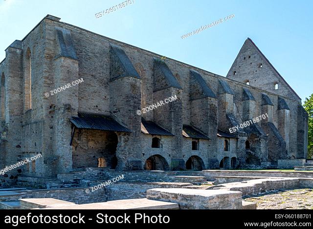 Pirita, Estonia - 6 August, 2021: view of the ruins of the Saint Brigitta Convent in Pirita near Tallinn