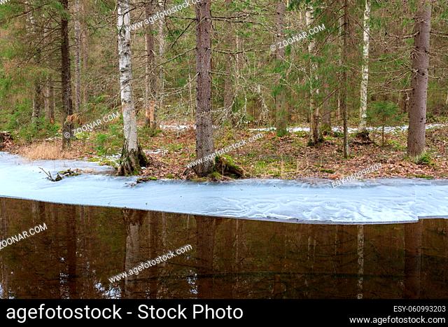 Partially frozen forest river at spring in finland
