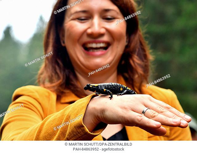 The regional Minister of the Environment for Thuringia Anja Siegesmund (Green) holds a fire salamander near Oberhof, Germany, 18 October 2016