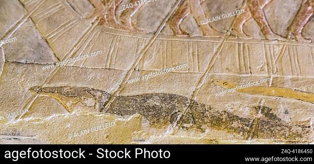 Egypt, Saqqara, tomb of Mehu, crocodile under a barque