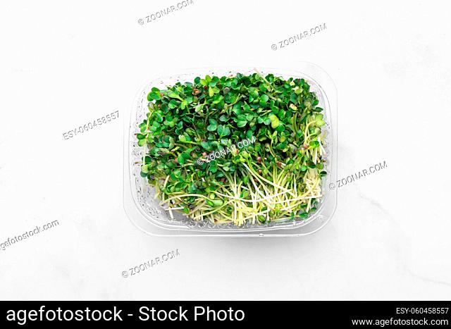 Microgreens bowl on white marble background. superfood concept. High quality photo