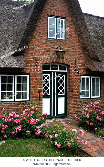 GERMANY, SCHLESWIG HOLSTEIN, NORTH SEA, NORTH FRISIAN ISLANDS, SYLT ISLAND, KEITUM VILLAGE, OLD REED-COVERED HOUSE, ROSES