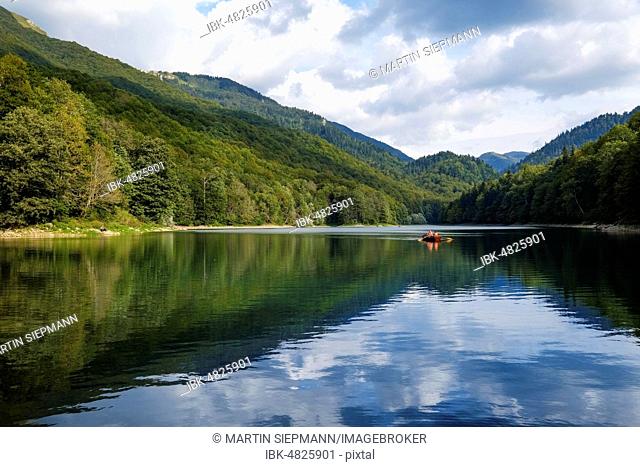 Rowing boat on Biogradsko jezero, Biogradska Gora National Park, Kolasin Province, Montenegro