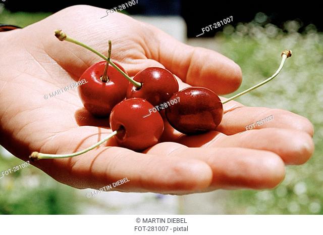 Man with handful of cherries