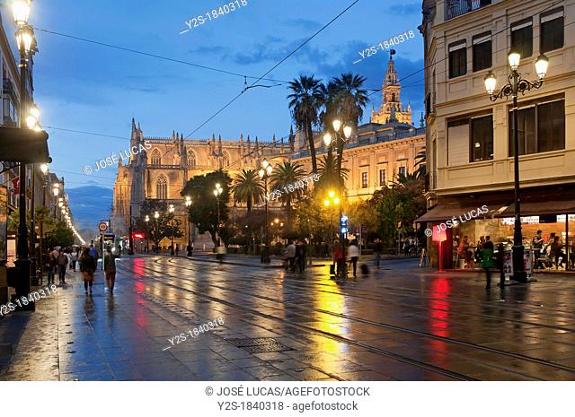 Constitution Avenue and Cathedral, Seville, Spain