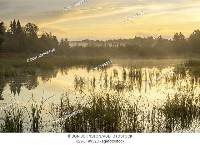 Beaver pond in early autumn with morning mists, Greater Sudbury, Ontario, Canada