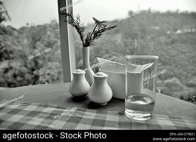 Salt and pepper shakers with water glass and flower vase on table, Munnar, Idukki, Kerala, India, Asia