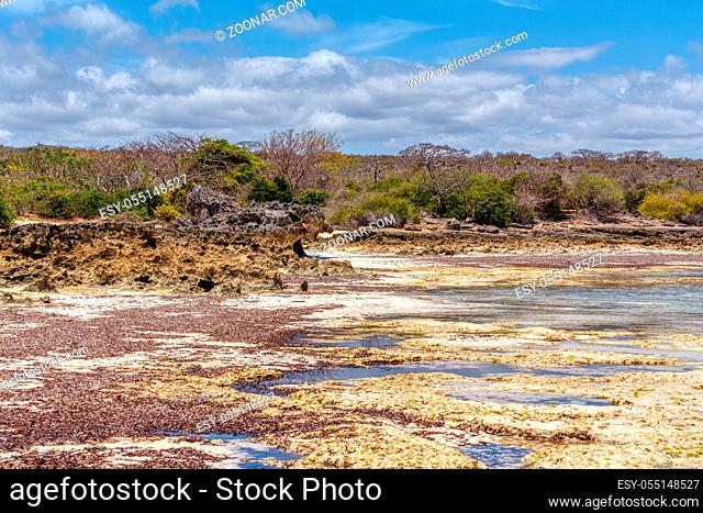 rocky beach in Antsiranana in low tide, Diego Suarez bay landscape, Madagascar beautiful pure nature with blue sky and water, Africa wilderness